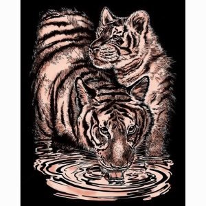 Tiger & Cub - Copper Scraper Foil