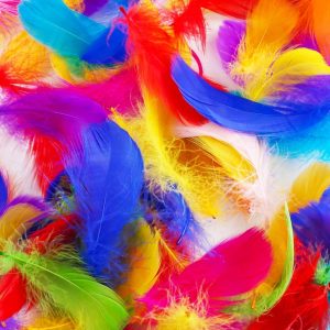 Feathers