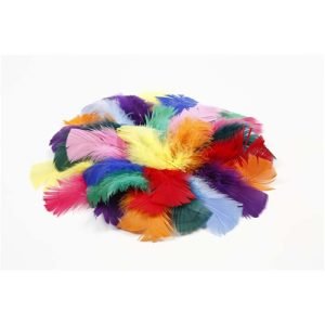 Create - Feathers -7 to 8 cm - Assorted colors - 50g