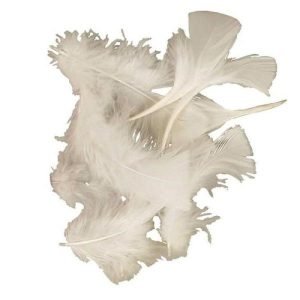 Create - Feathers Turkey 50G White