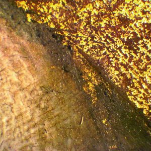 Gilding Additives
