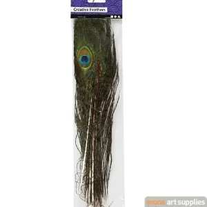 Creativ Peacock Feathers 10pk