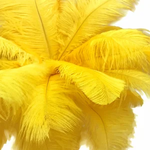 Craft Feathers